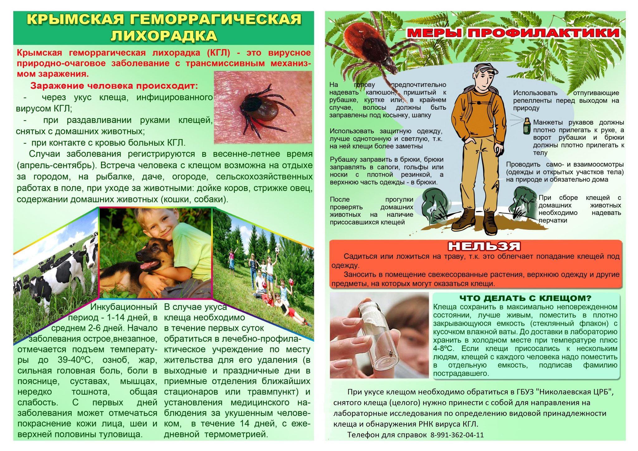 Летняя лихорадка